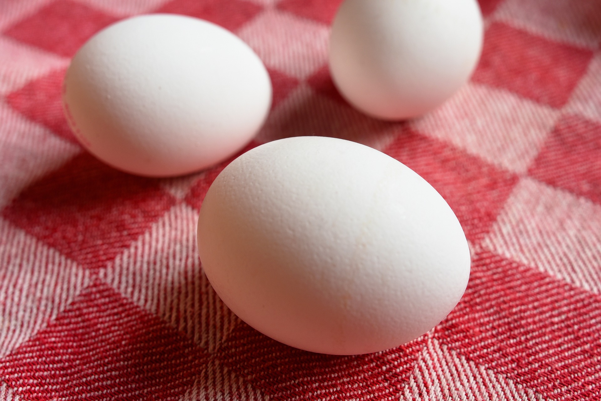 ゆで卵はダイエットの強い味方～19日目～